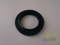 SIMERING GRUP CONIC FATA Case IH