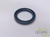 SIMERING PLANETARA FATA Case IH