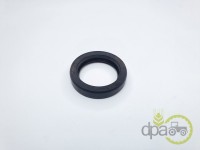 SIMERING POMPA APA Case IH