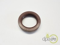 SIMERING PRIZA PUTERE Renault