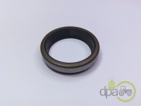 SIMERING RIDICARE HIDRAULICA Landini