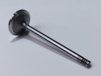 SUPAPA ADMISIE Fendt