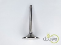 SUPAPA ADMISIE Fendt