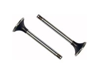 SUPAPA ADMISIE Renault