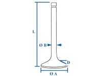 SUPAPA EVACUARE Lamborghini