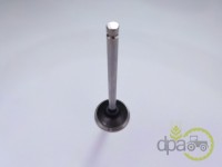 SUPAPA EVACUARE Mc Cormick