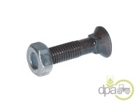 SURUB+PIULITA PLUG M10X35