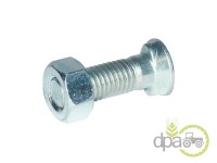 SURUB+PIULITA PLUG M12X50