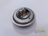 TERMOSTAT Massey Ferguson